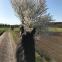 images/more_pictures/faciliteter//tur_1.jpg